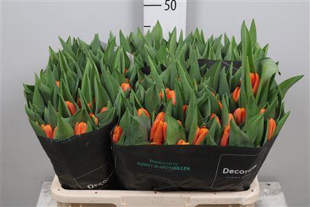 <h4>Tu En Time Out</h4>