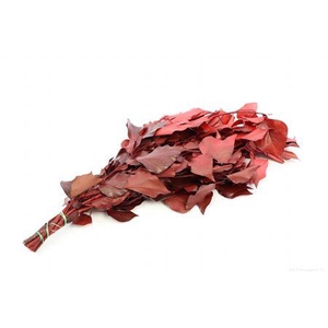 Bunch Hedera Pres. 150g L65