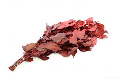 Bunch Hedera Pres. 150g L65