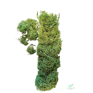 CURLY MOSS 200GR APPELGROEN