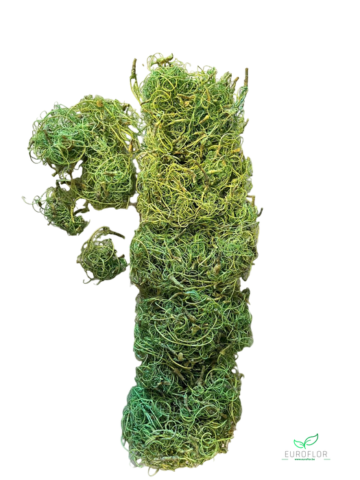 CURLY MOSS 200GR APPELGROEN