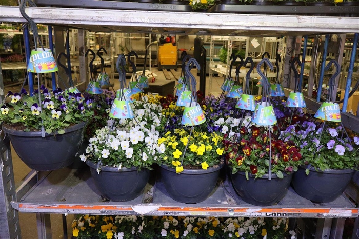 <h4>Vio Co End Mixk In Hangpot</h4>