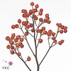 Rose Fruttuosa Bs