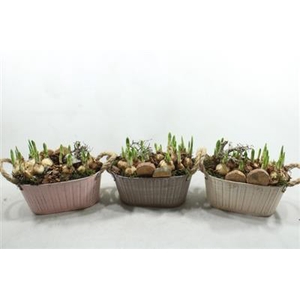 3240 ZINK OVAAL 3KL TETE