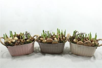 <h4>3240 ZINK OVAAL 3KL TETE</h4>