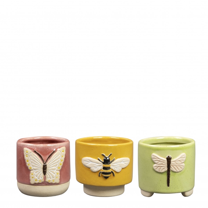 <h4>Insect pot d07*7cm</h4>