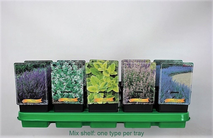 Vaste planten mixkar