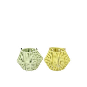 Cruz Yellow Pistache Lantern Flower Ass 10x16x11cm