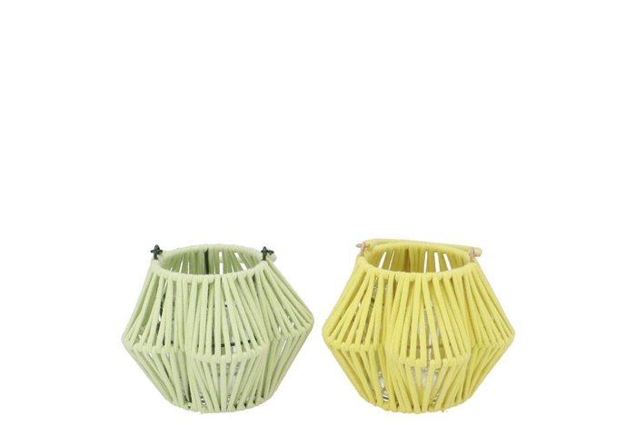 <h4>Cruz Yellow Pistache Lantern Flower Ass 10x16x11cm</h4>
