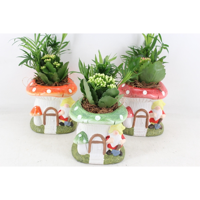 <h4>Arr2 Pl - Ker. Paddenstoel Huisje X3</h4>