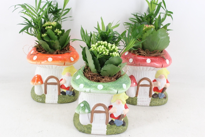 <h4>arr2 PL - Ker. paddenstoel huisje x3</h4>