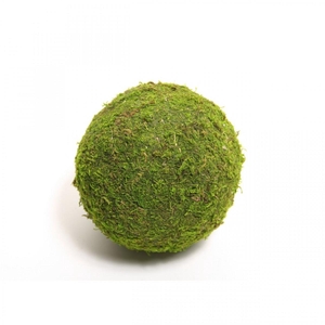 Dried articles Moss ball 15cm