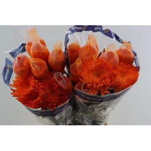 Chr G Kbh Tinted Orange