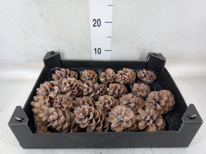 <h4>Decoratieve materialen   ...H%</h4>