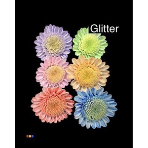 Chr T Stallion Dusty Mix 6 Colors + Glit Bio