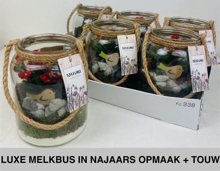 <h4>ARR KAMERPL</h4>