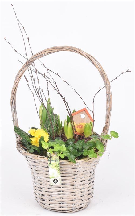 <h4>Wilg hengselmand grijs 24cm</h4>