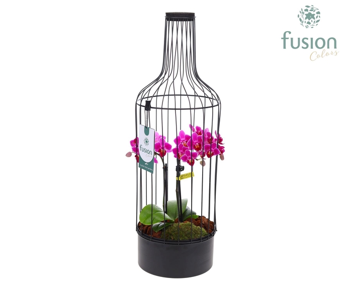 <h4>Metaal fles zwart Large met Phalaenopsis</h4>