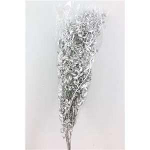 Dried Ruscus Nat Silver Glitter