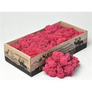 Mos Rendier Fuchsia Gepr 500gr