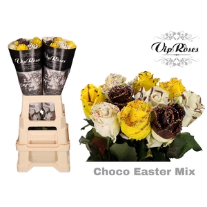 R GR CHOCO EASTER MIX x20