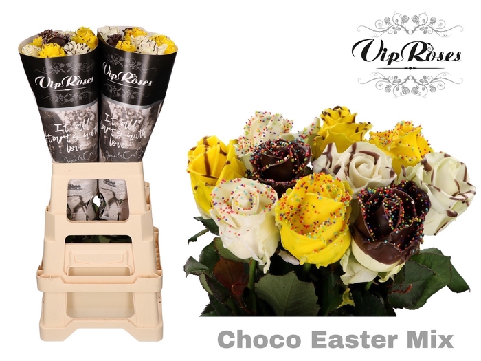 R GR CHOCO EASTER MIX x20