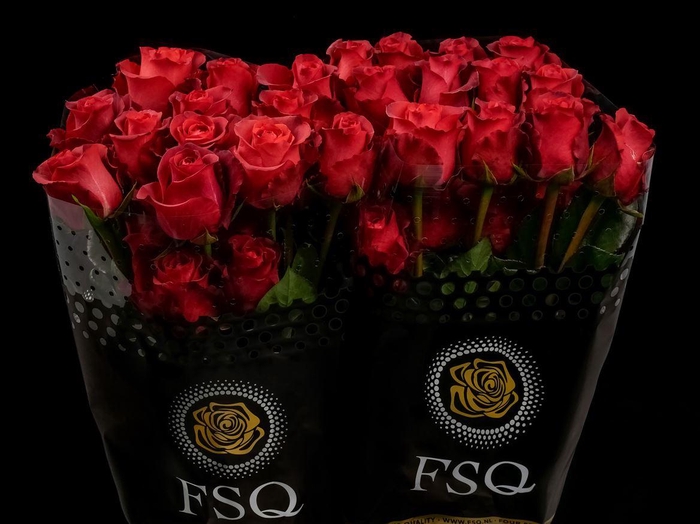 <h4>R GR Mathilda</h4>