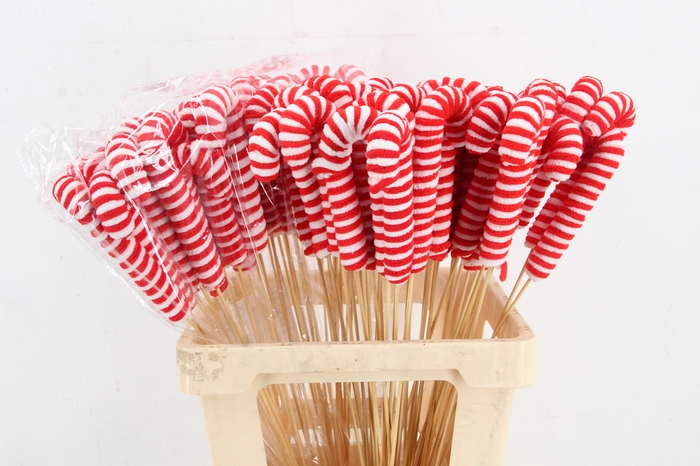 <h4>Stick Candy Cane Red/White 263</h4>