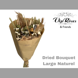 DRIED BOUQUET LARGE NATUREL x8