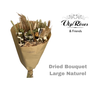 Vip Dried Bouquet Large Naturel X8