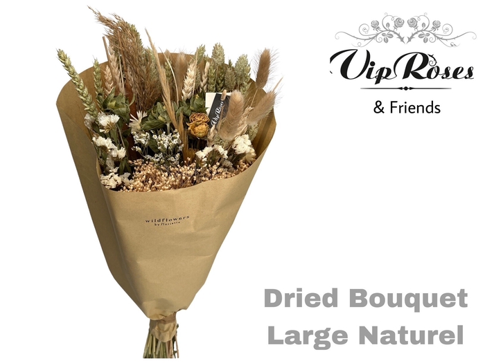 Vip Dried Bouquet Large Naturel X8