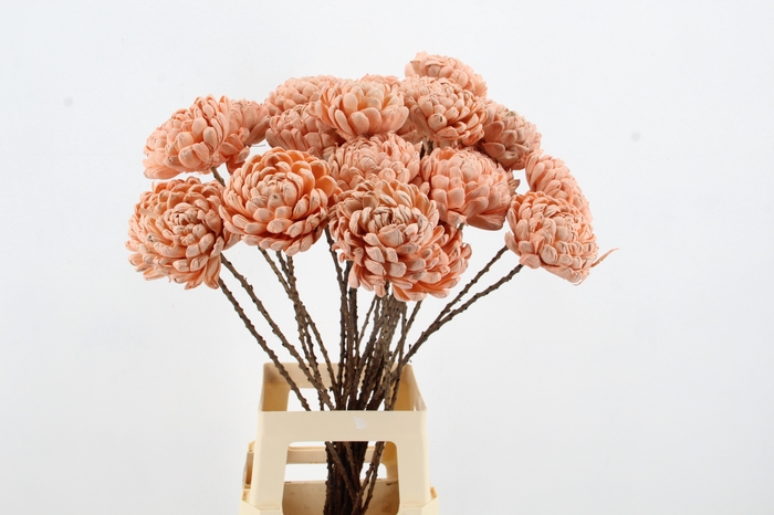 <h4>Stick Shola Artichoke Ø12 Salm</h4>