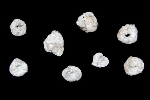 COCO BALL STONE WASHED WHITE 1KG