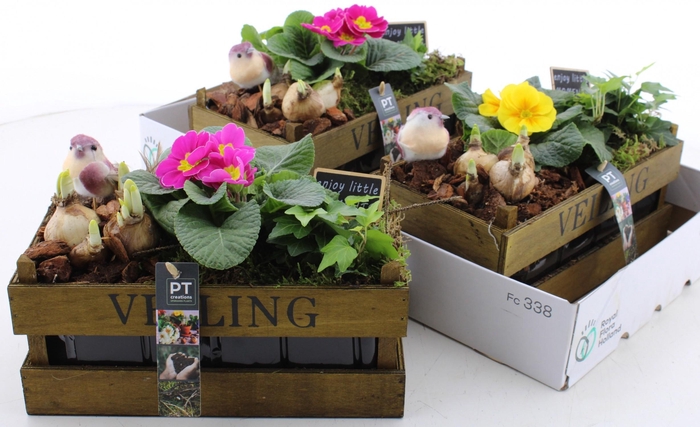 <h4>ARR PL IN SCHAAL</h4>