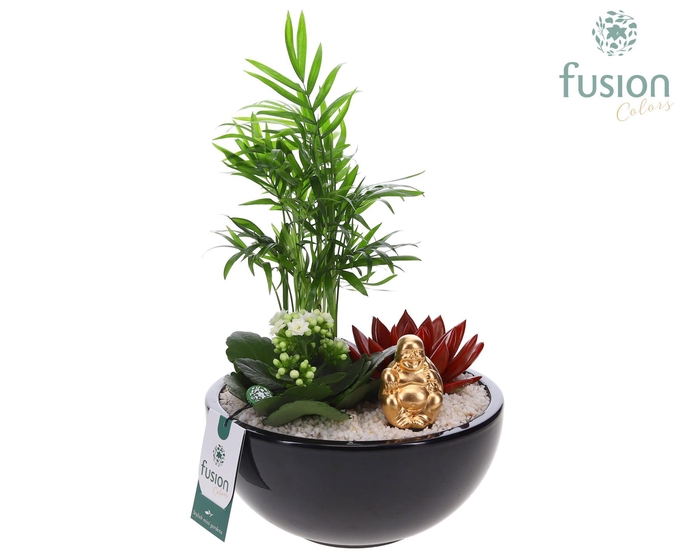 <h4>Keramiek moonschaal met Arrangement</h4>