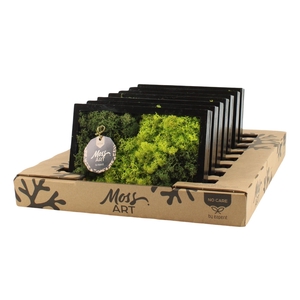 90930: Moss Art Rectangular D24