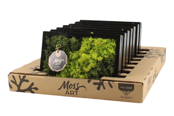 <h4>90930: Moss Art Rectangular D24</h4>
