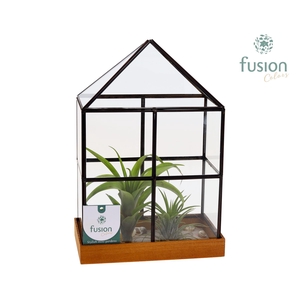 Glazen huisje met metaal groot met