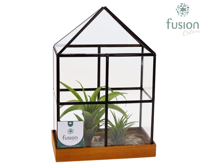 <h4>Glazen huisje met metaal groot met</h4>