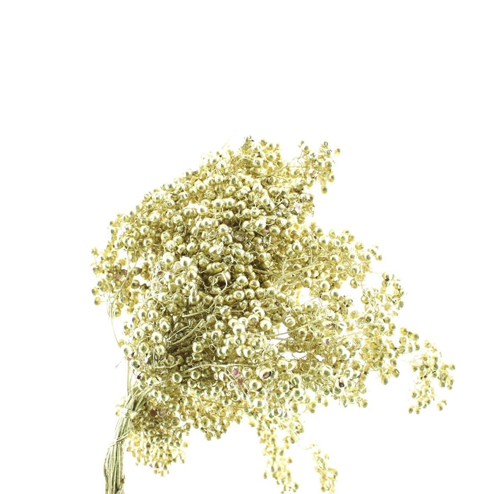 <h4>Dried Pepper Berries Gold Extra</h4>