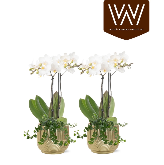 <h4>Collectie 'Top Blend' - Arrangementen in keramiek Maud</h4>