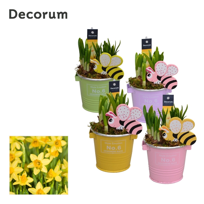 Narcis Colourful Bucket Mini GM HL10947