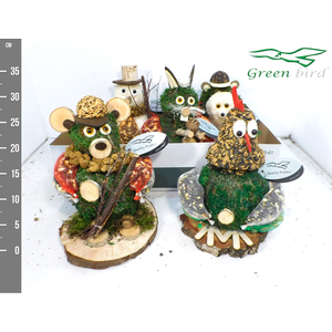 Dieren mos berk winter mix