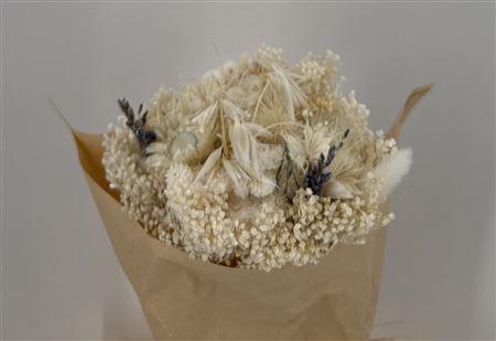 Dr Bqt Bleach Small White