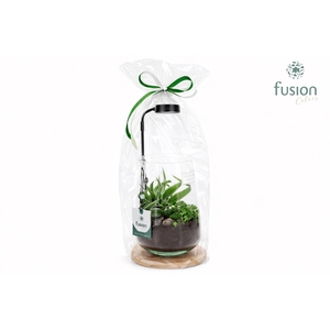 Bamboe plateau met LED licht lamp en vaas en Groen planten in Klaphoes