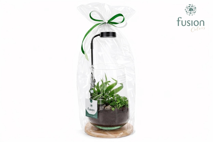 <h4>Bamboe plateau met LED licht lamp en vaas en Groen planten in Klaphoes</h4>