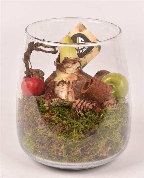 <h4>Glas vaas 14cm/ h 17cm</h4>