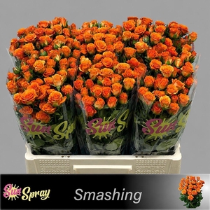 R TR SMASHING