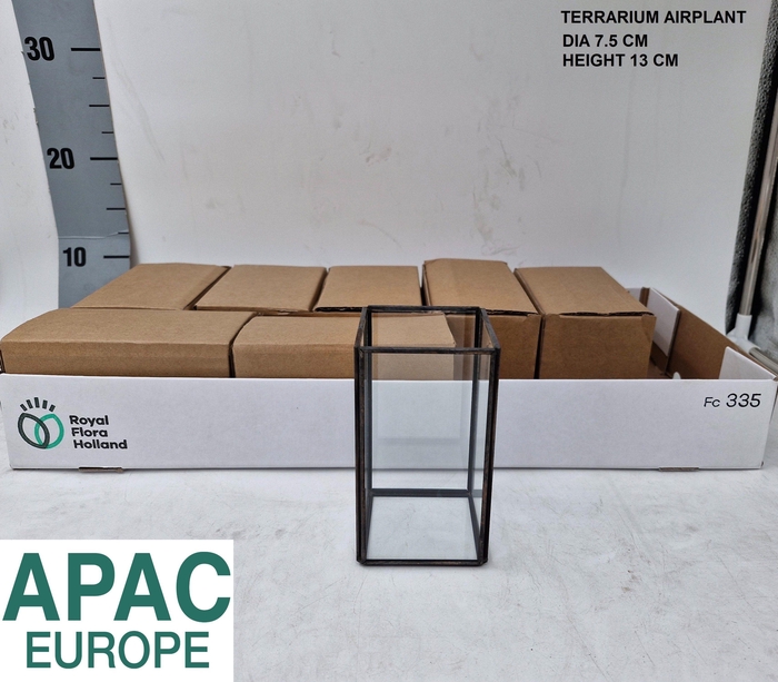 <h4>GLAZEN VAAS H%</h4>