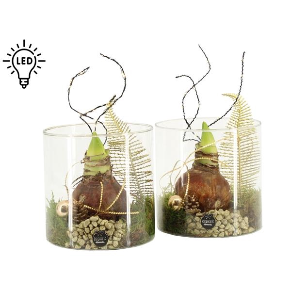 <h4>61922: X-mas arrangement met LED</h4>